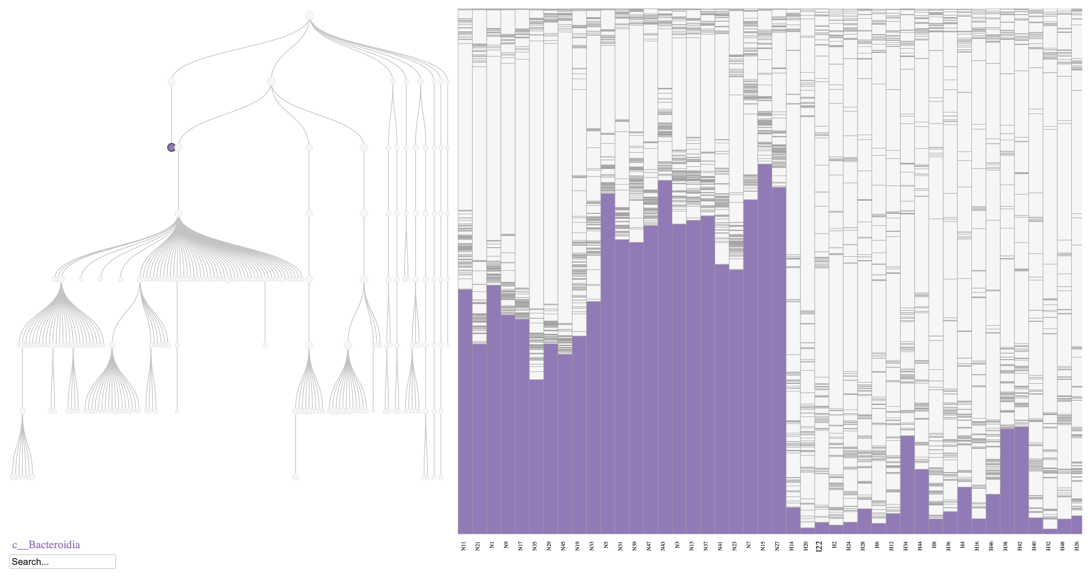 Phylobar plot of the mouse microbiome on day 7, comparing normal diet (N) and HFHS diet (H). The plot highlights the relative abundances of Bacteroidia class, which is known to decrease in response to an HFHS diet.