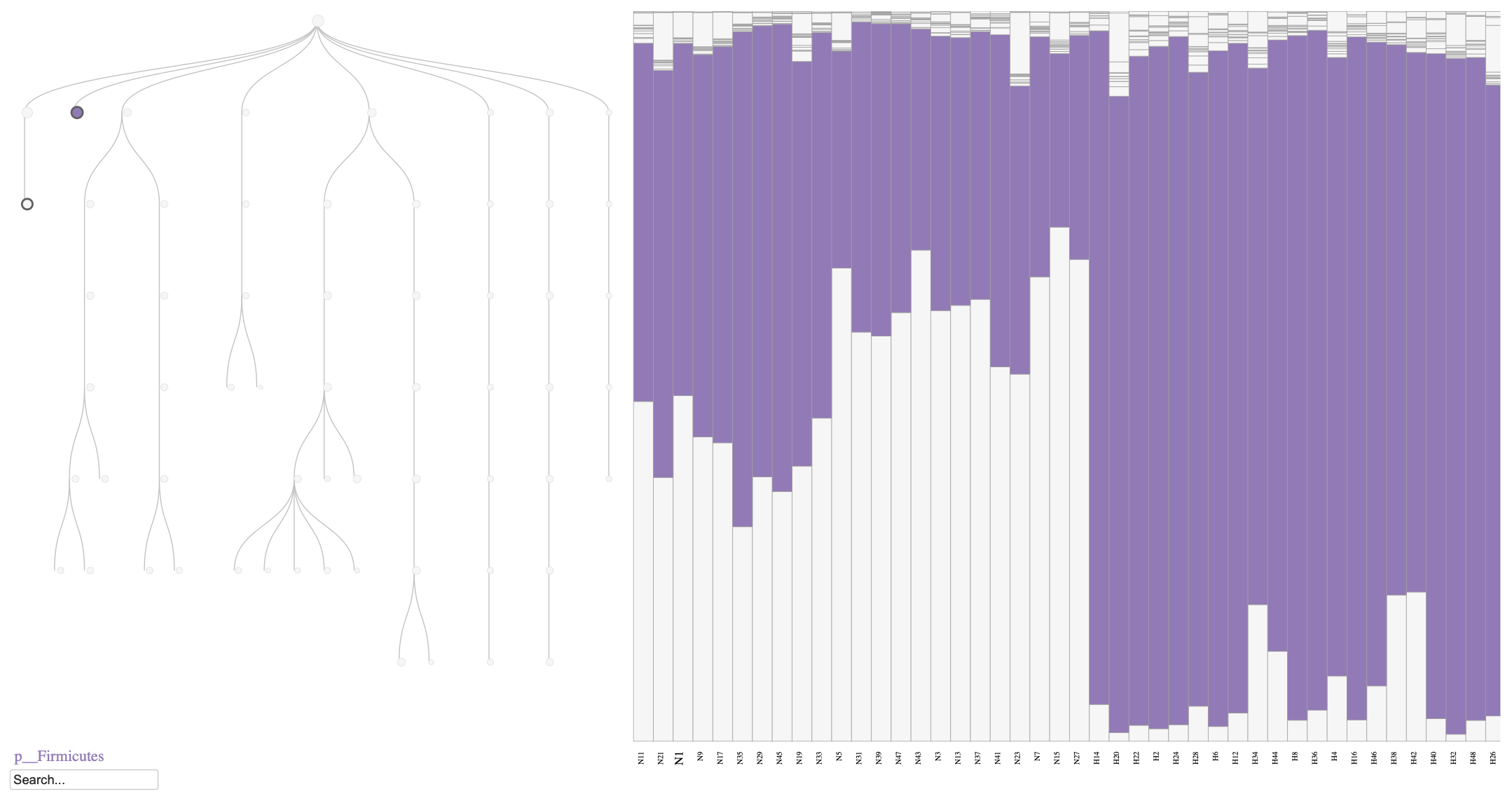 Phylobar plot of the mouse microbiome on day 7, comparing normal diet (N) and HFHS diet (H). The plot highlights the relative abundances of Firmicutes phylum, which is known to increase in response to an HFHS diet.